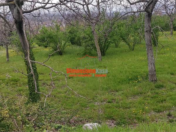 Terreno Agricolo di 4000 mq