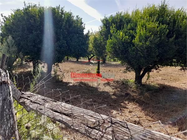 Terreno agricolo