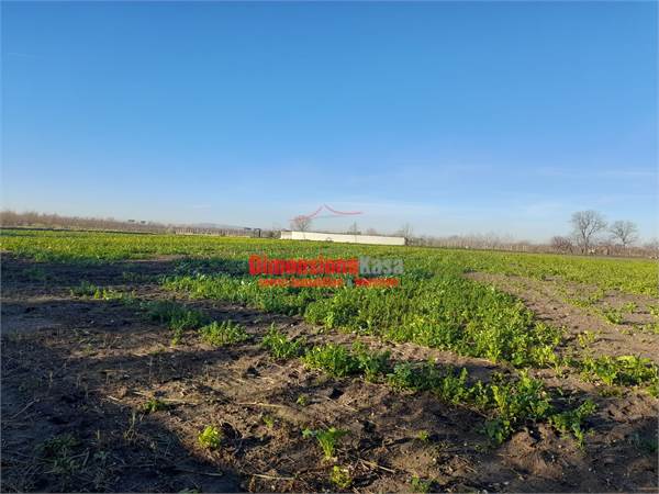 Terreno Agricolo