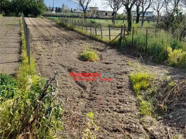 Terreno agricolo di 873 mt