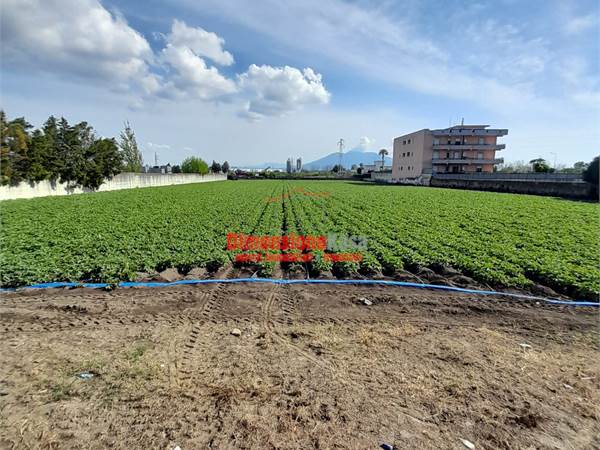 Terreno agricolo